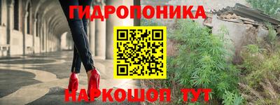 прущие крисы Дубна