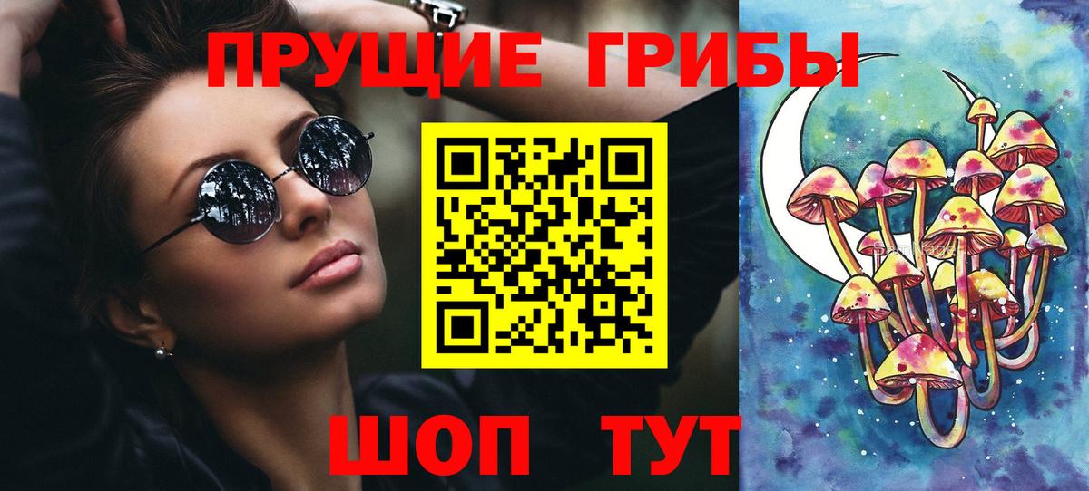 Псилоцибиновые грибы GOLDEN TEACHER Приморско-Ахтарск